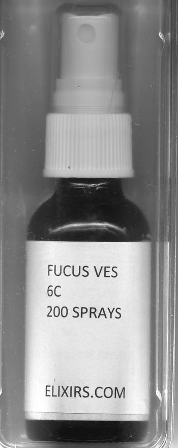 Click for details about Fucus Ves Kelp Thyroid Support 6C 1 oz spray